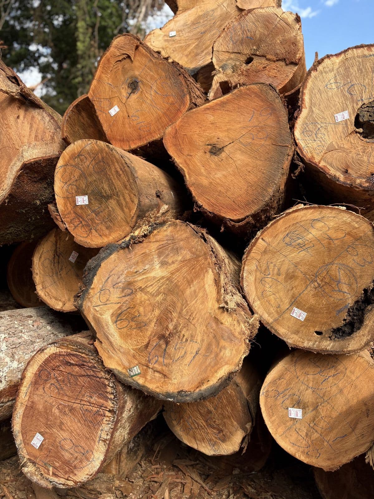 Tagged & traceable logs