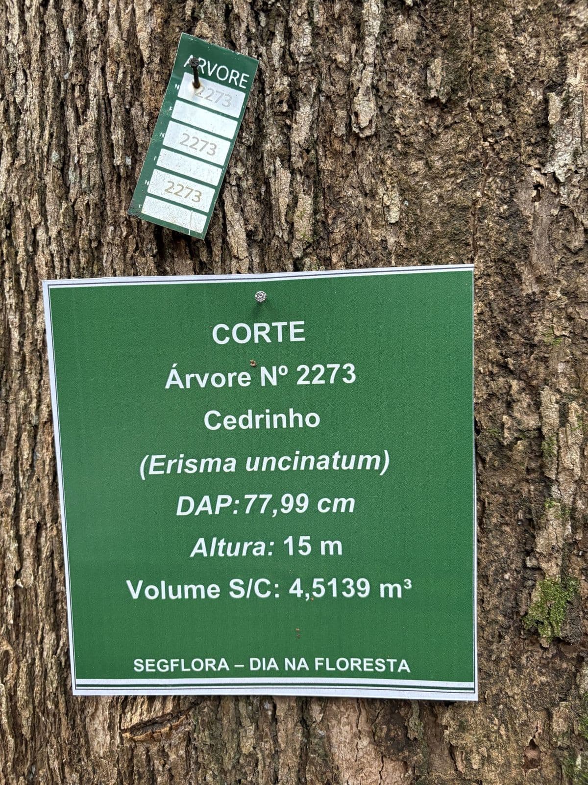 Forest inventory placard on a tree recording species, diameter, height and volume before selective harvest