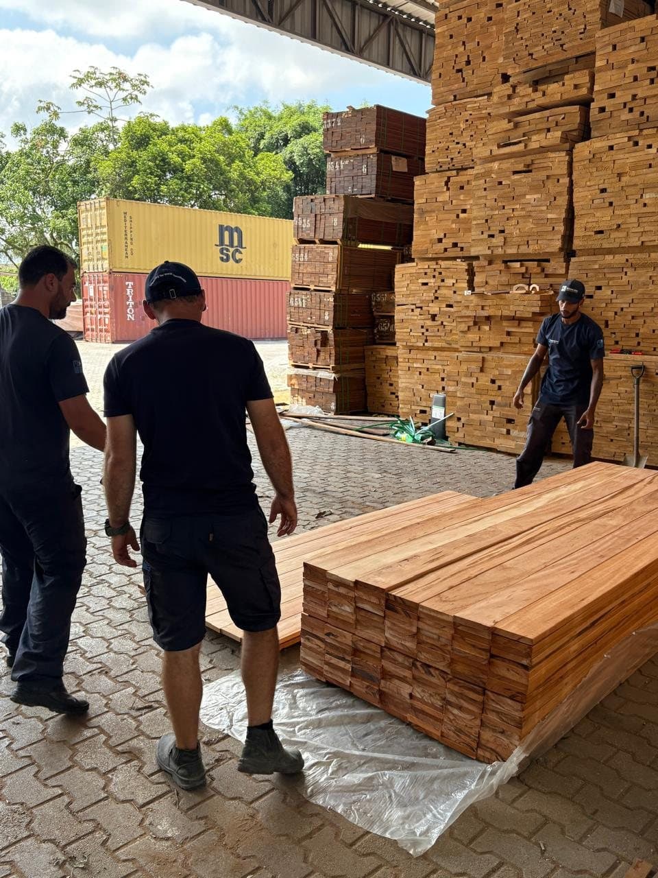 Marine Box team handling hardwood in the export yard with shipping containers in the background