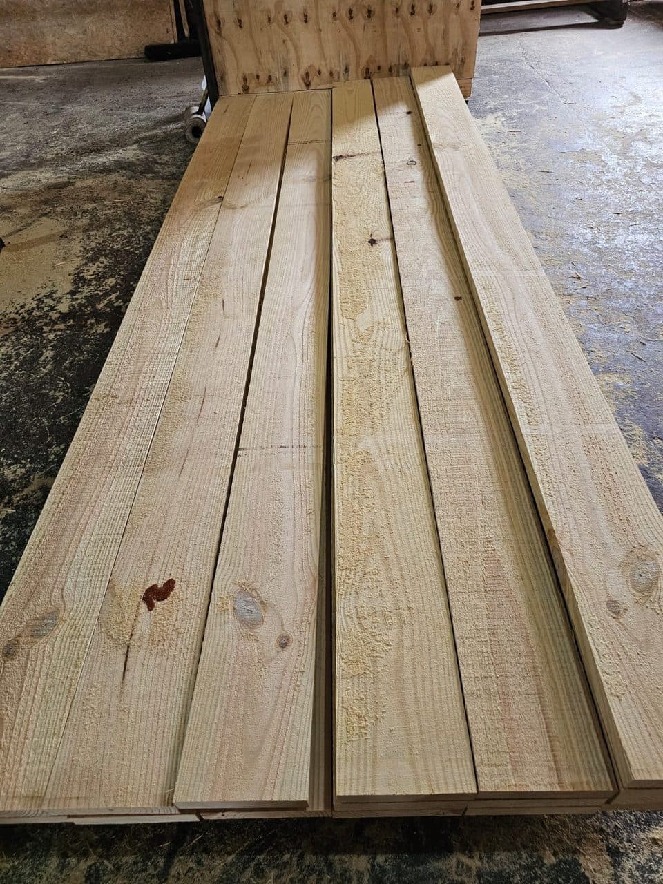 Pine — 7