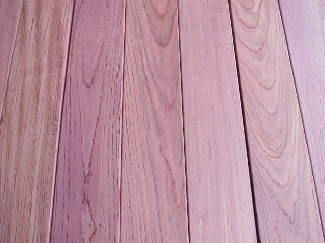 Purple Heart (Peltogyne spp.)