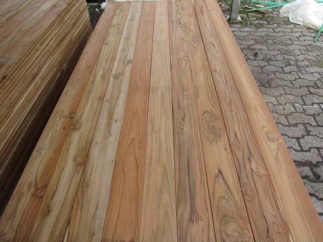 Teak (Tectona grandis)